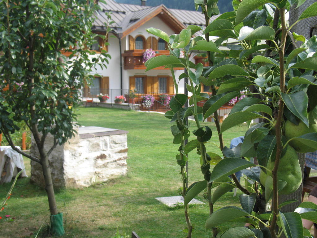 Apartment Casa Bamby